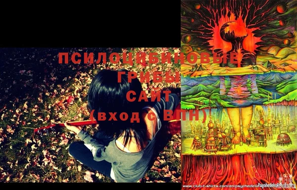 мдпв Козловка