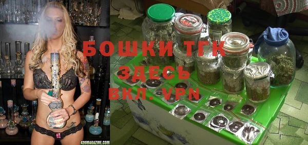 мдпв Козловка