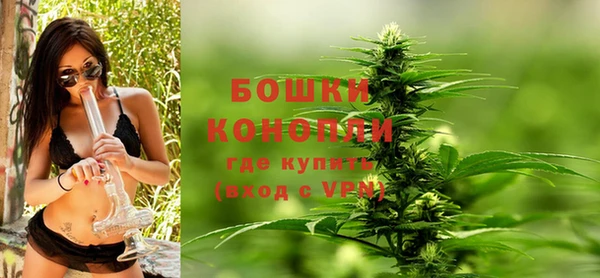 мдпв Козловка